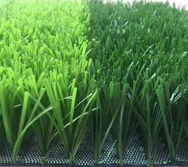 足球草坪